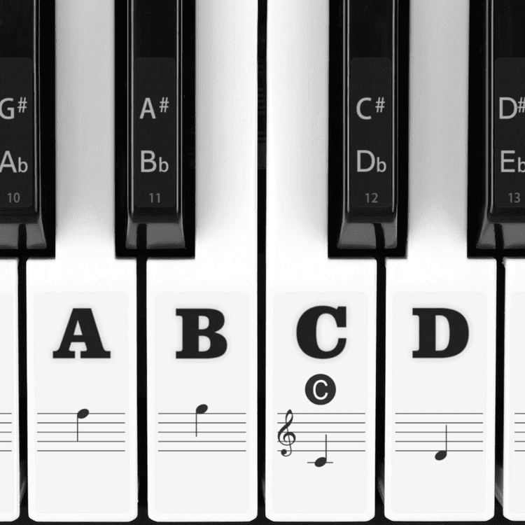piano keyboard label2