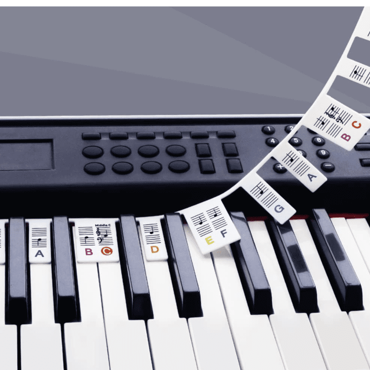 Piano Keyboard label3