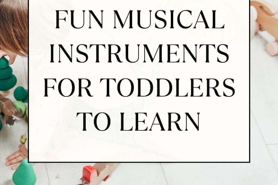 10 Best Fun Musical Instruments For Toddlers To Learn (2)
